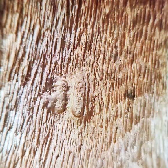 Vintage Christina Dior Cuff / bracelet - Picture 4 of 6